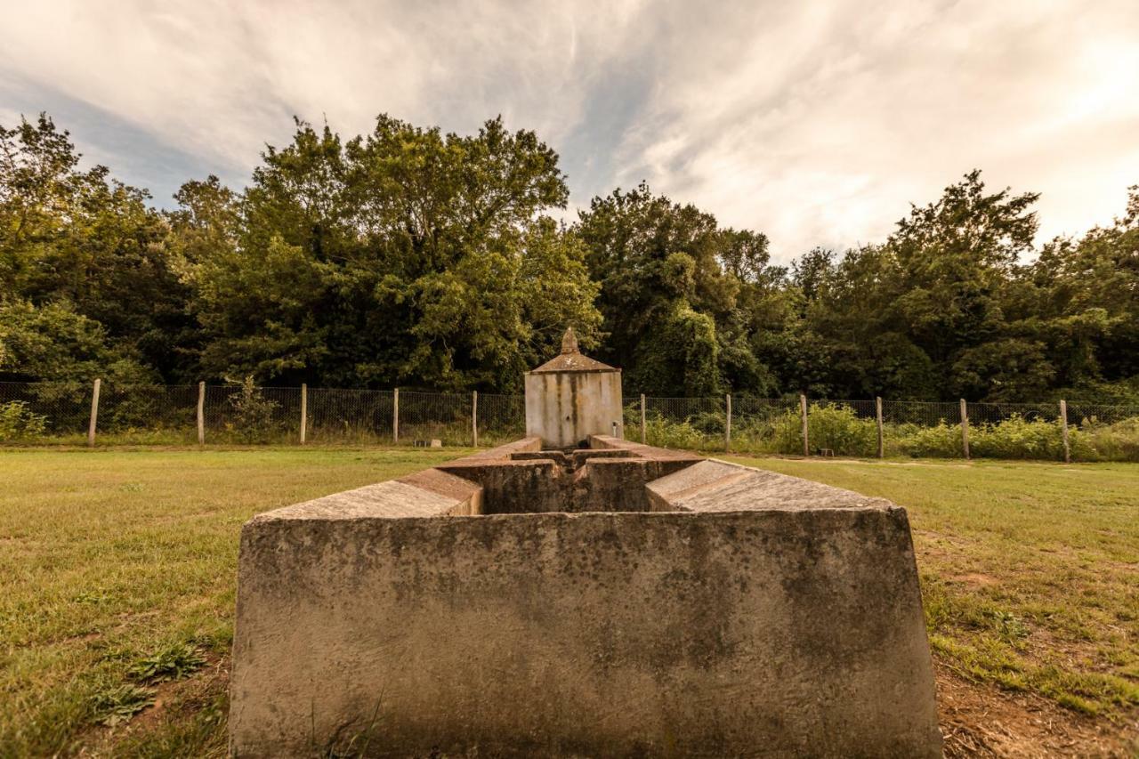 Villa Podere San Niccola à Punta Ala Extérieur photo